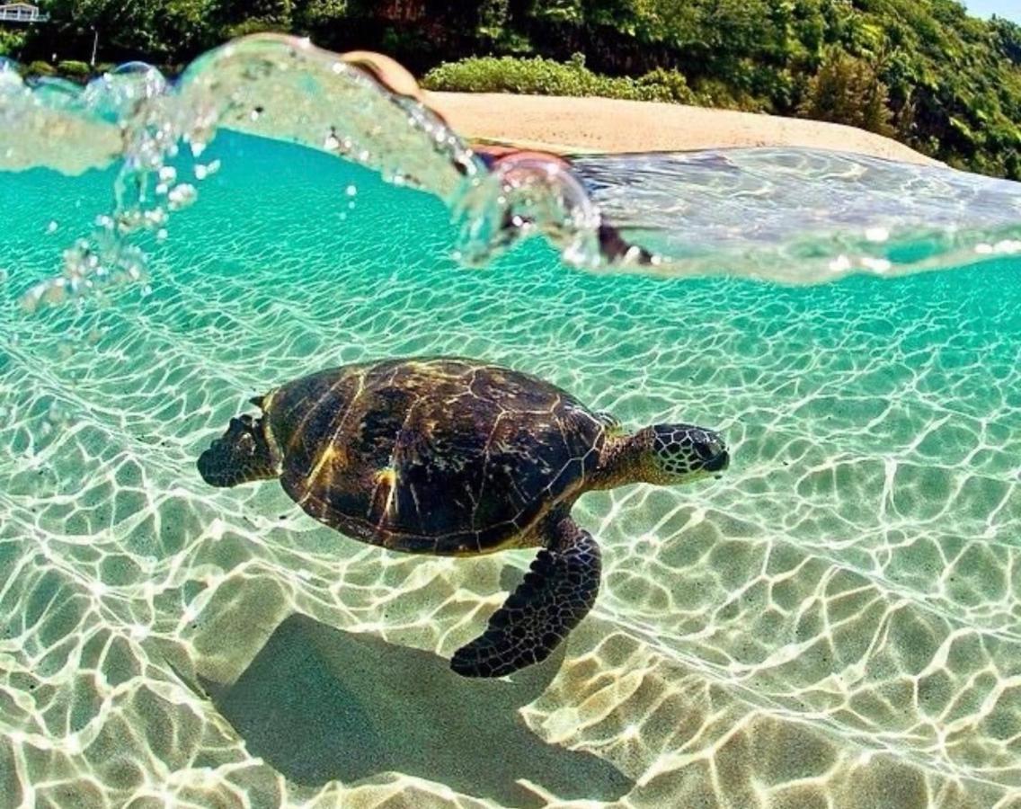 Sun Island Otel Puerto Villamil Dış mekan fotoğraf